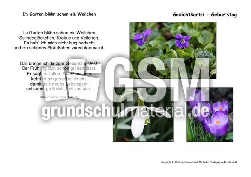 Im-Garten-blühen-Güll.pdf
